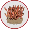 Cordyceps Fruiting Body Extract