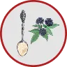 Eleuthero Root Extract