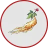 Ginseng Root Extract