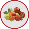 Jujube Fruit Extracts