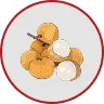 Longan Fruit Extract