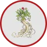 Oriental Ginseng Root Extract