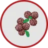 Psoralea Fruit Extract