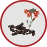 Rehmannia Root Extract