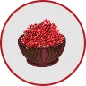 Schisandra Berry Extract