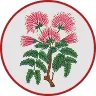 Silk Tree Flower Extract