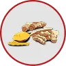 Turmeric Root Extract
